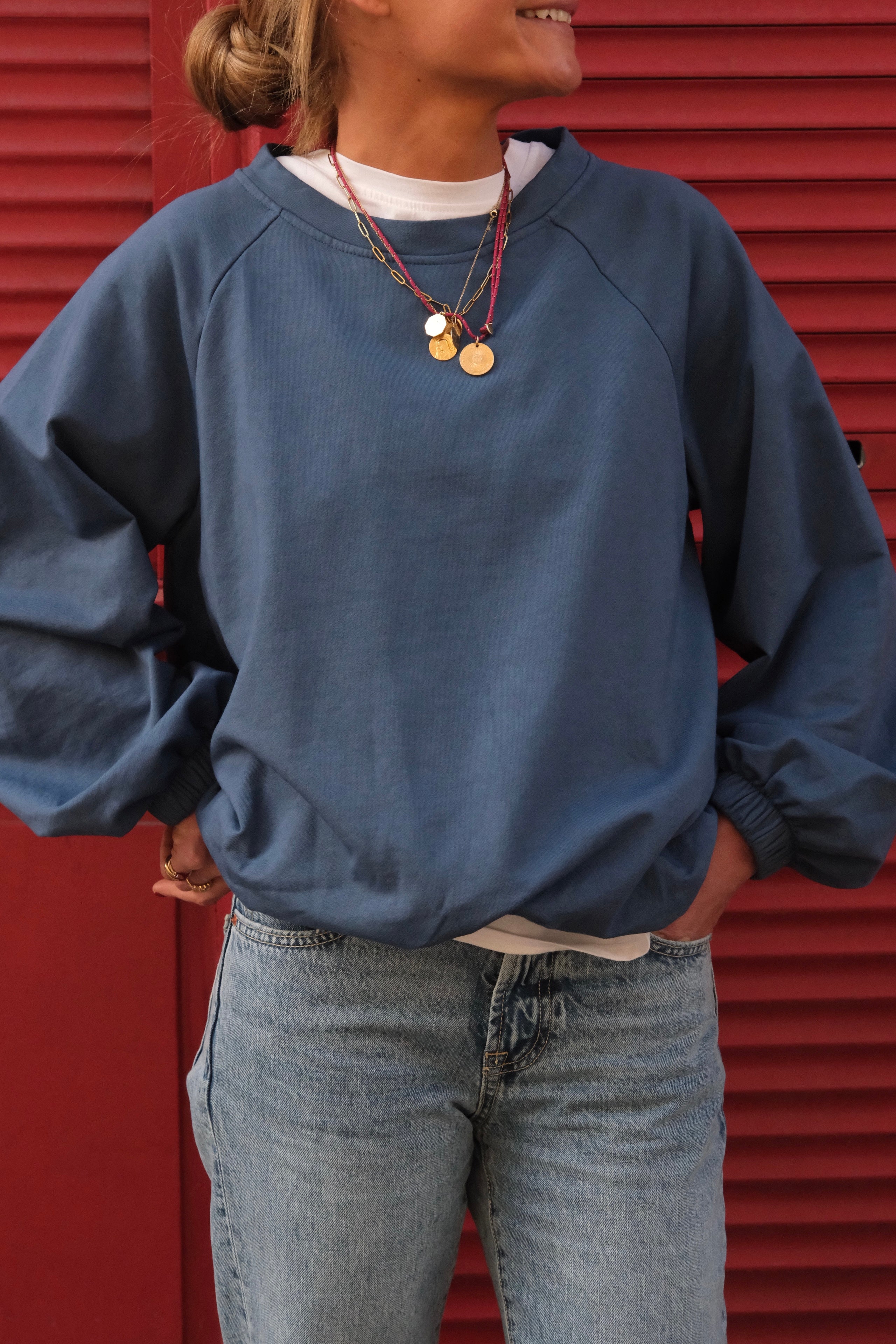 Arthus blue sweatshirt