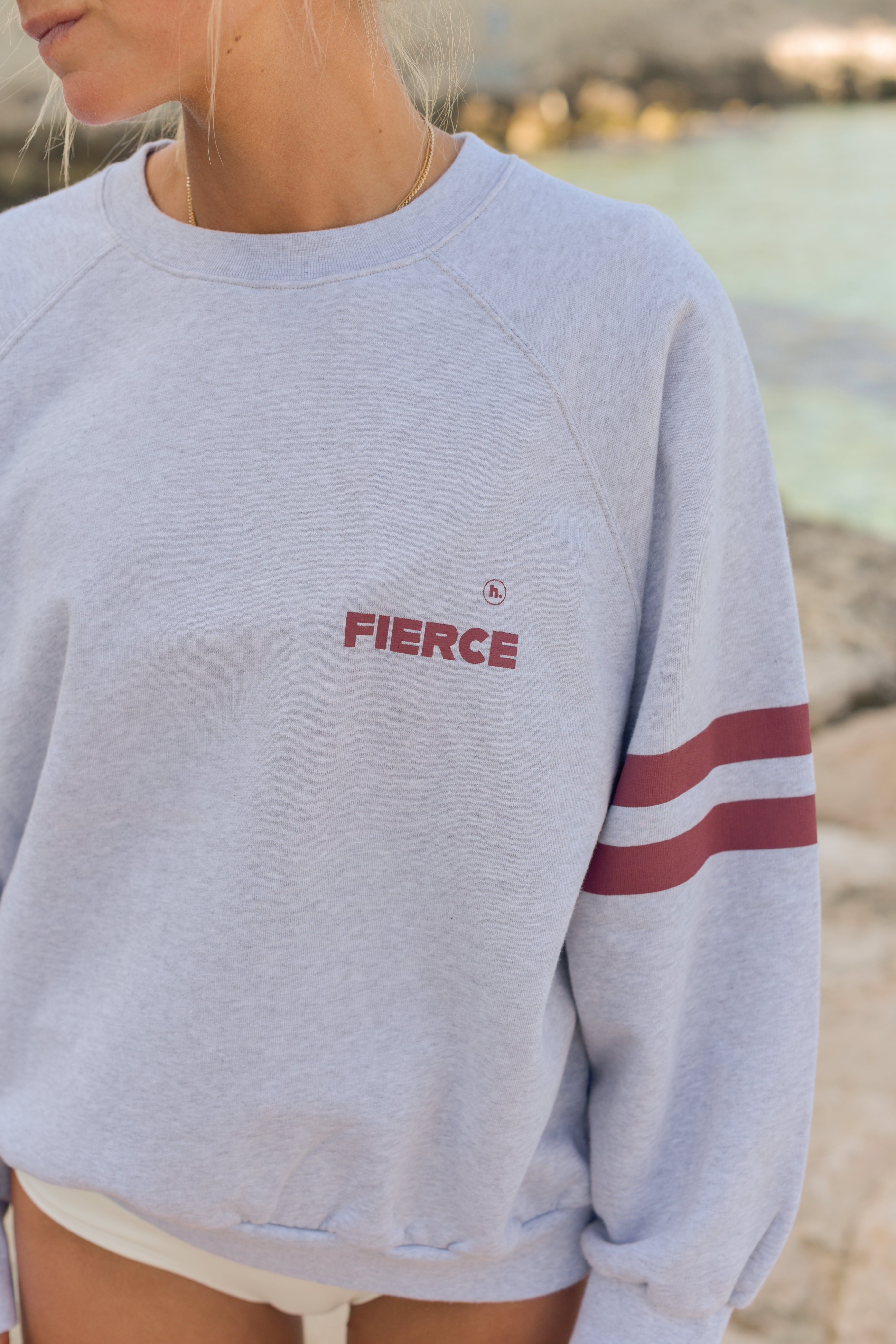 Sweat JOSEPH FIERCE gris/bordeaux